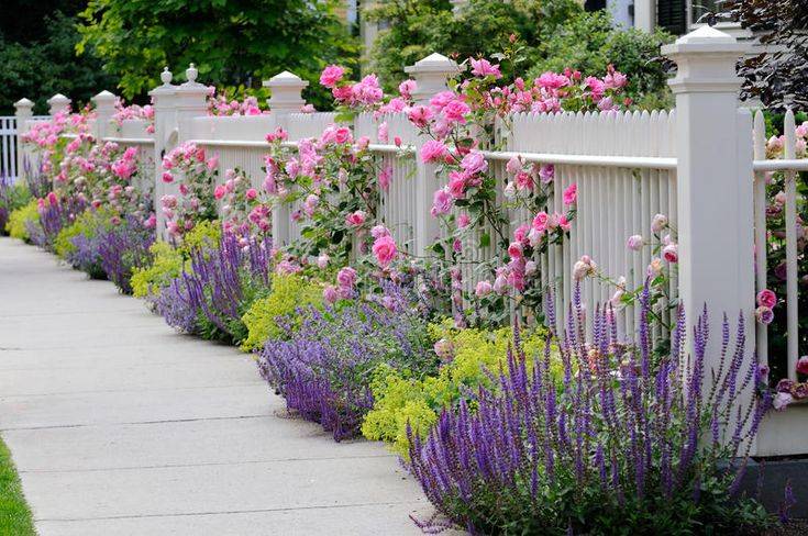 Beautiful Garden Fence Ideas Home Stratosphere