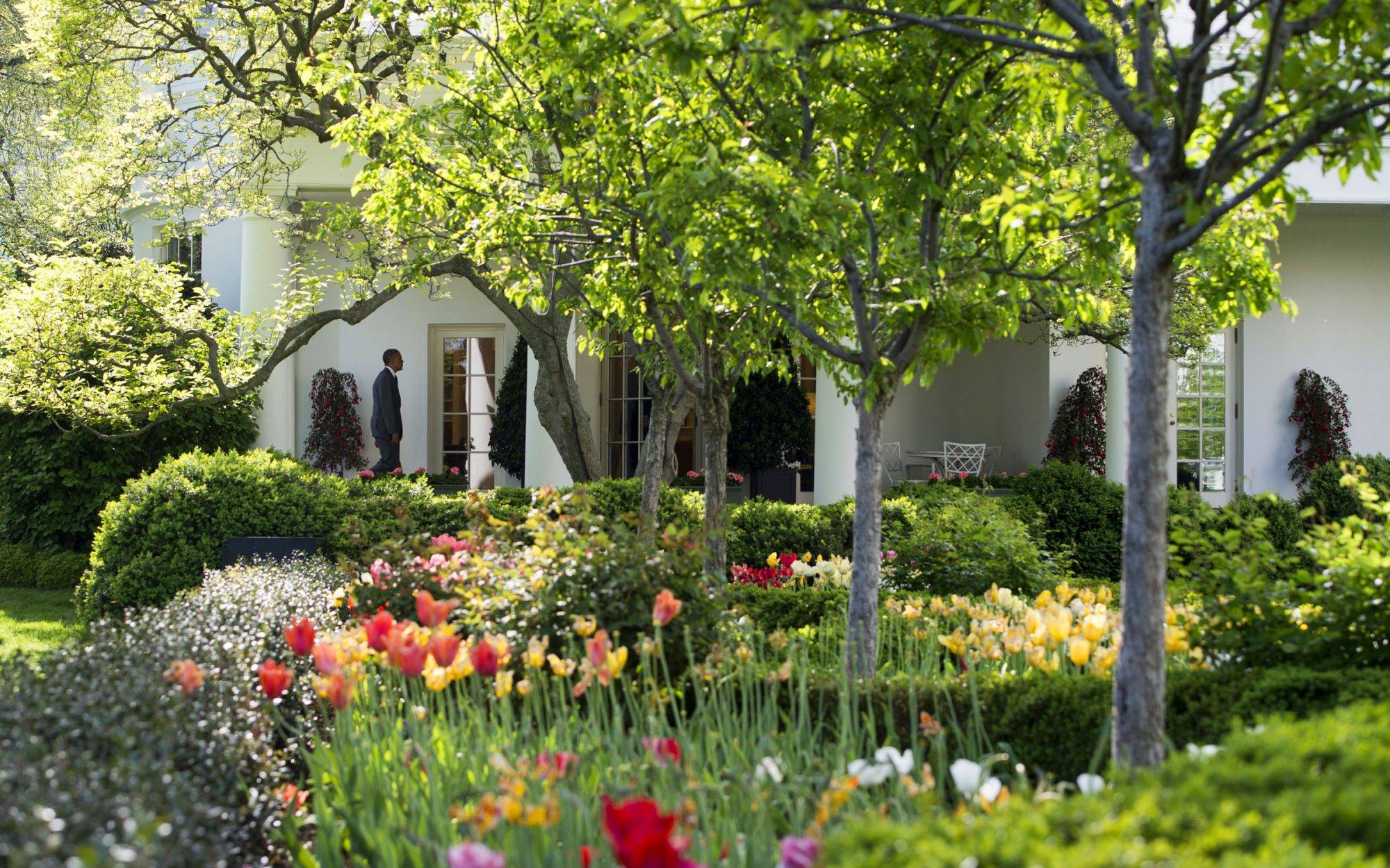 Google Search Sidewalk Garden Ideas