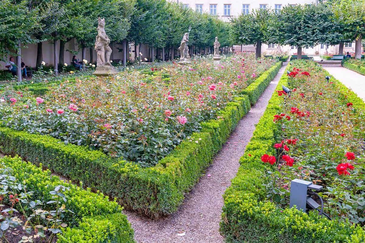 Amazing Spring Garden Photography Ideas
