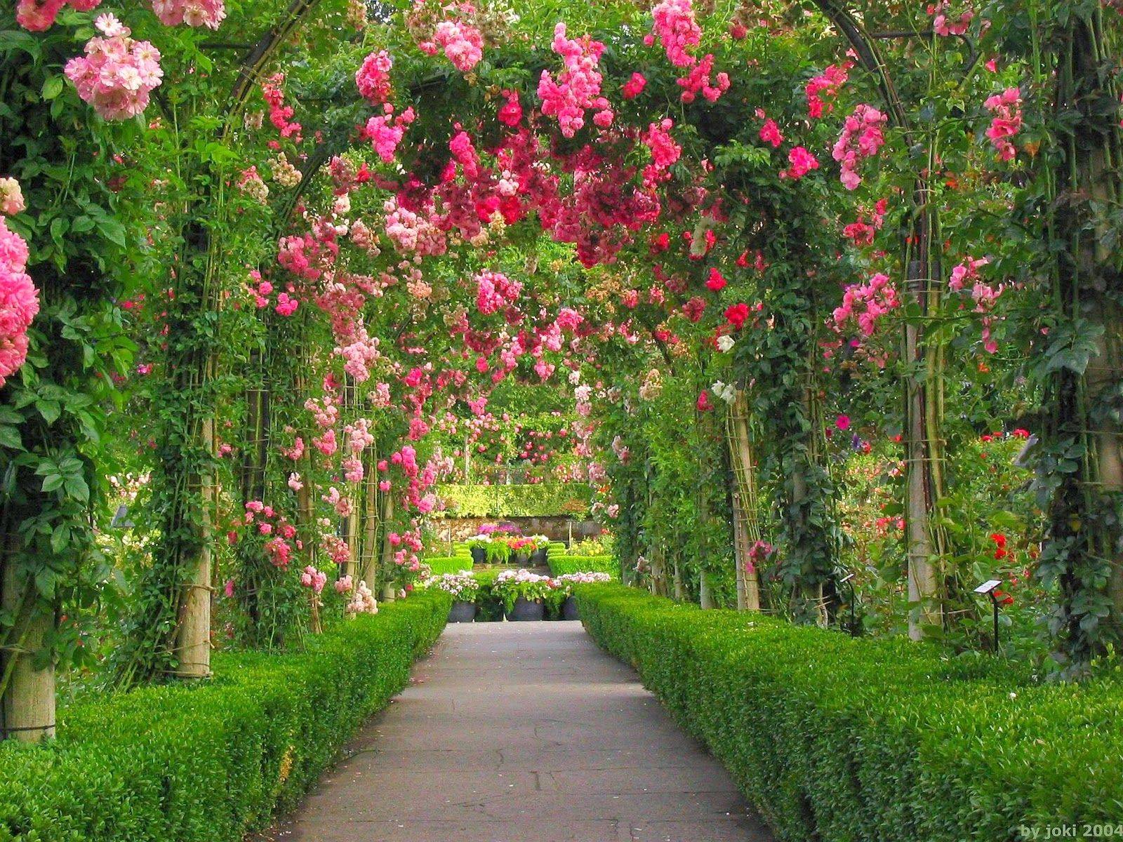 Gorgeous Rose Garden Ideas Photo Inspiration Garden Tabs