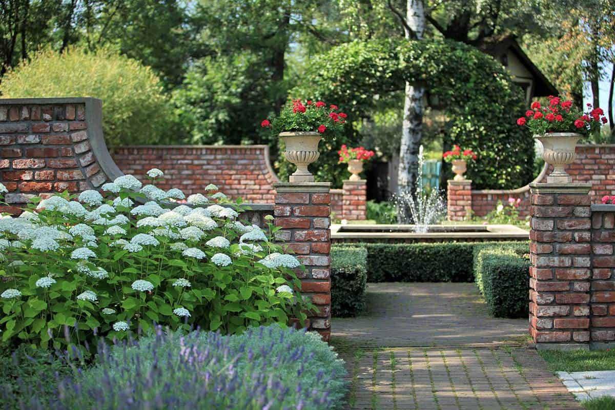 Rose Garden Free Stock Photo Public Domain Pictures