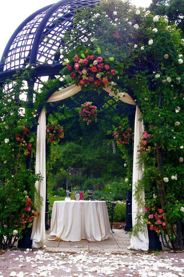 Year Round Garden Enjoyment