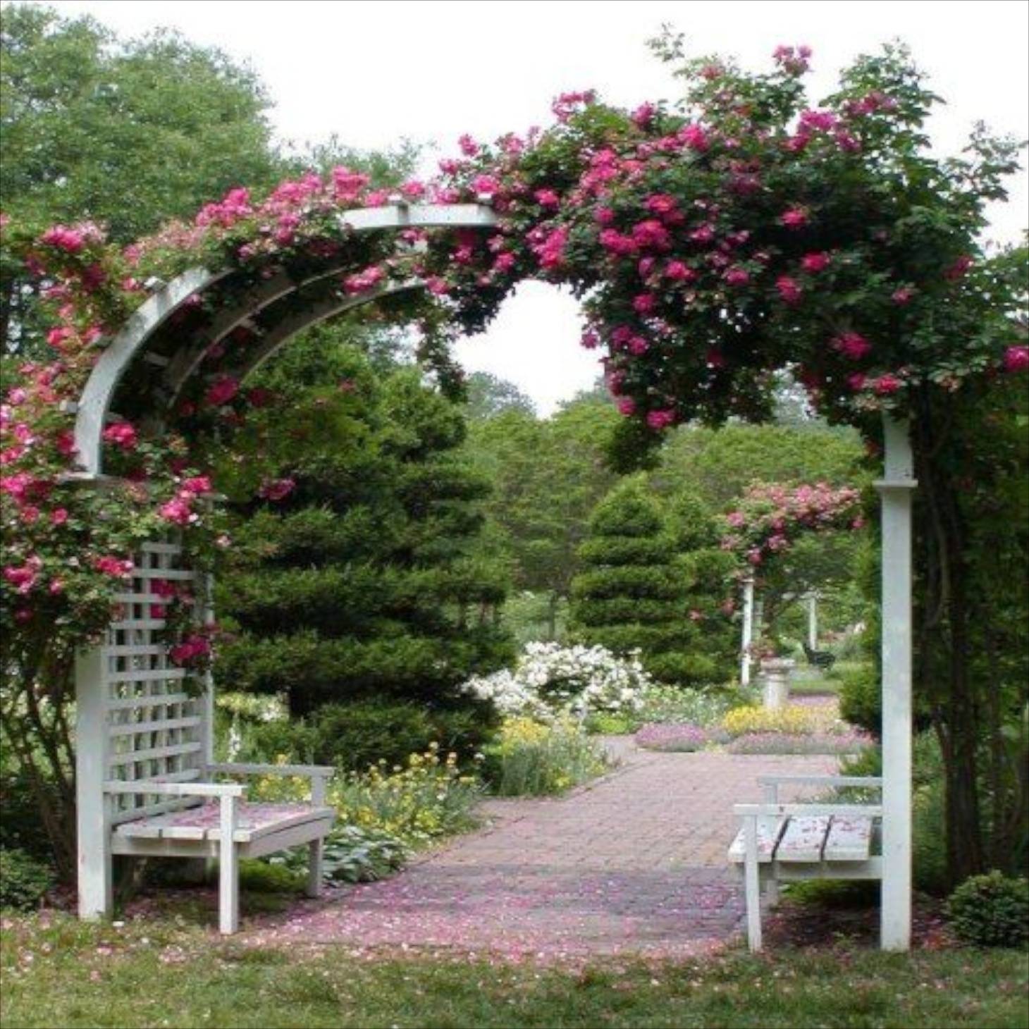 Rose Gazebos