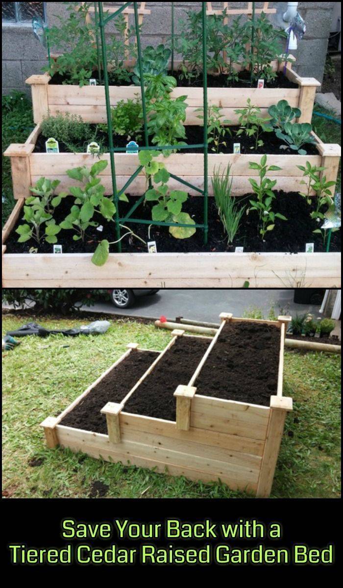 X X H Cedar Garden Raised Bed