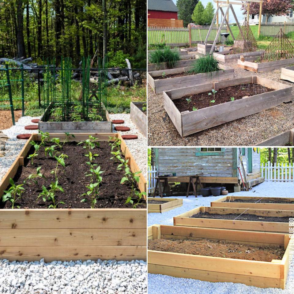 Raised Cedar Garden Beds Diy Projects