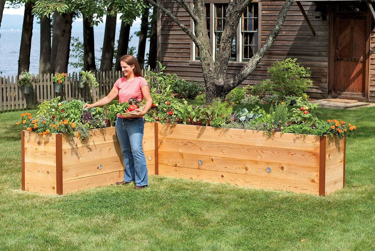 Natural Cedar Raised Garden Beds Eartheasycom