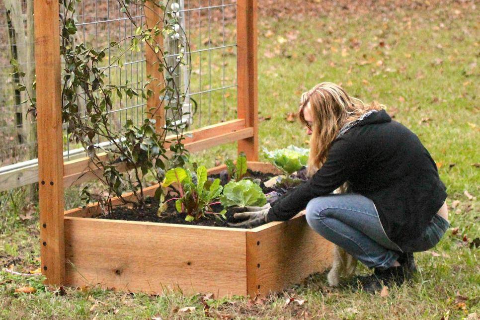 Raised Garden Bed Ideas Hgtv