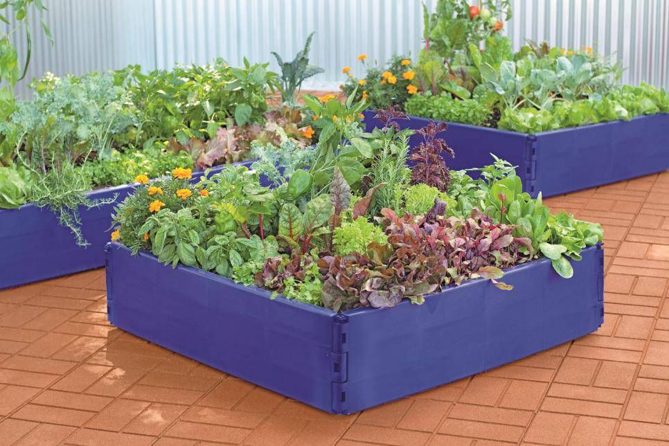 Raised Garden Bed Ideas Hgtv