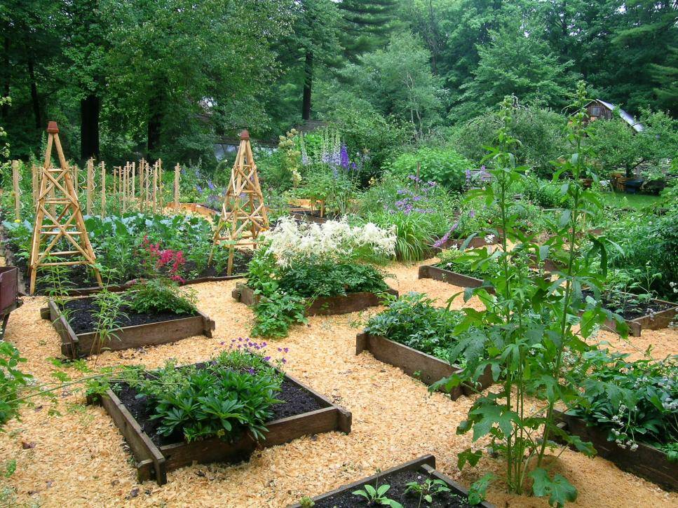 Raised Garden Bed Ideas