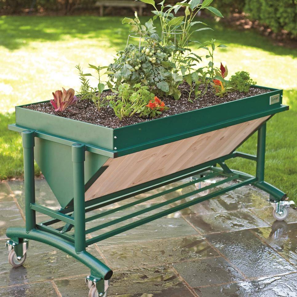 A Raised Garden Bed Hgtv Raised Garden Beds