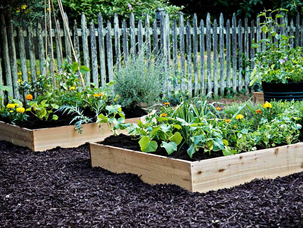 Elevated Raised Beds Hgtv