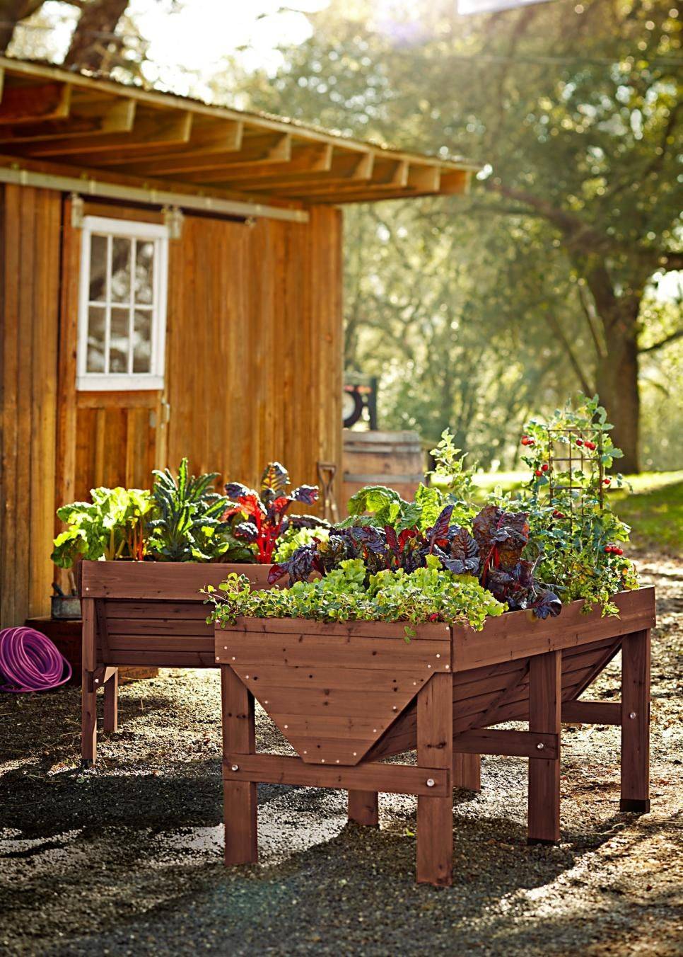 Your Raised Garden Bed