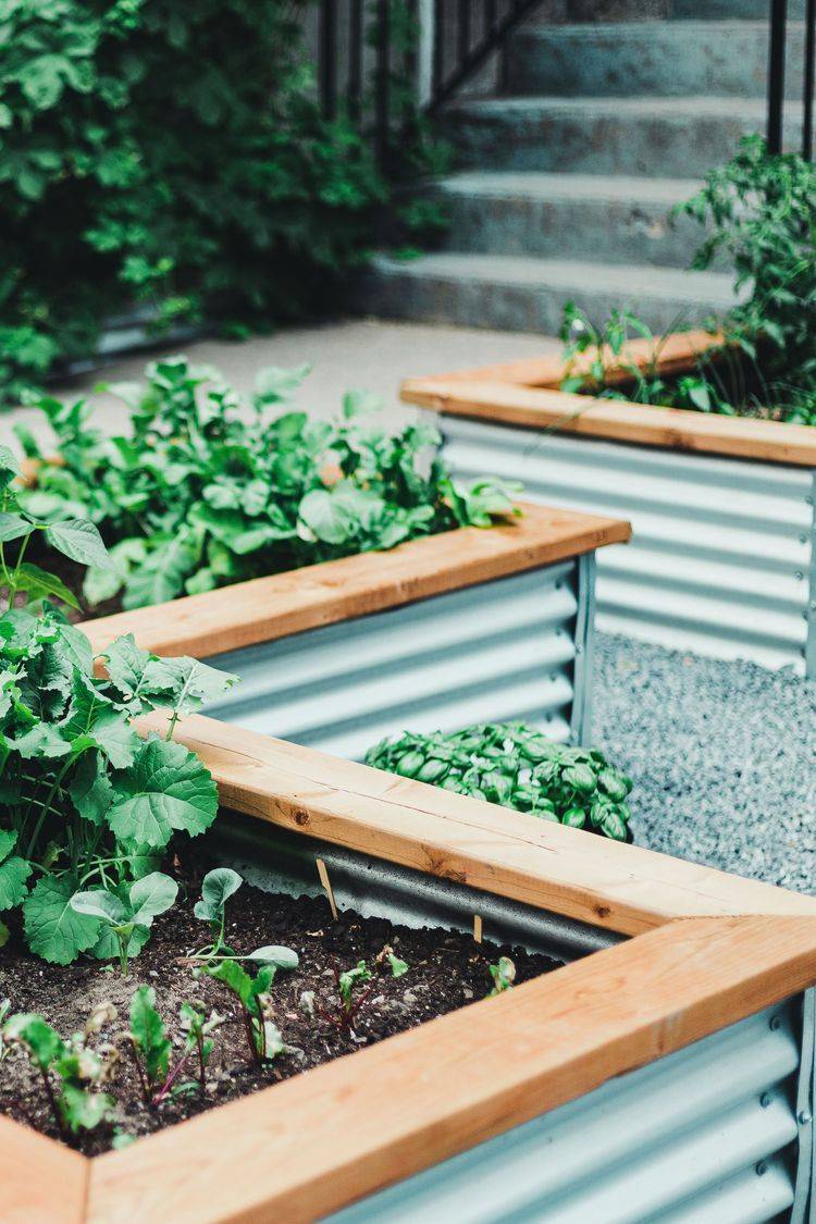 Raised Bed Garden Design Ideas