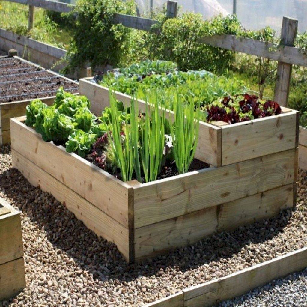 Unique Raised Garden Bed Ideas Vegetables