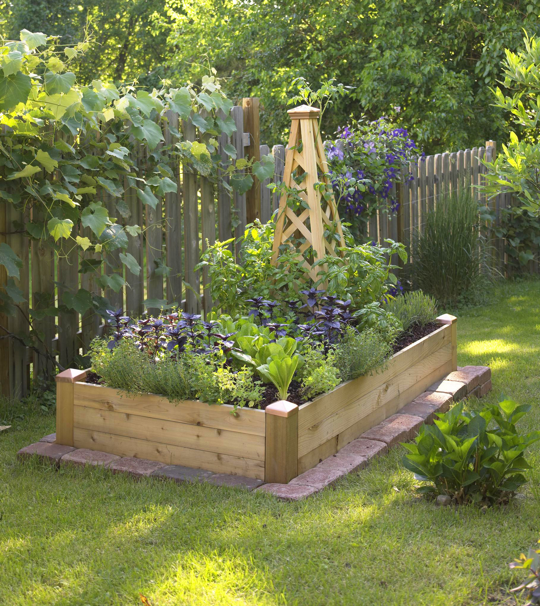 Raised Bed Garden Design Ideas