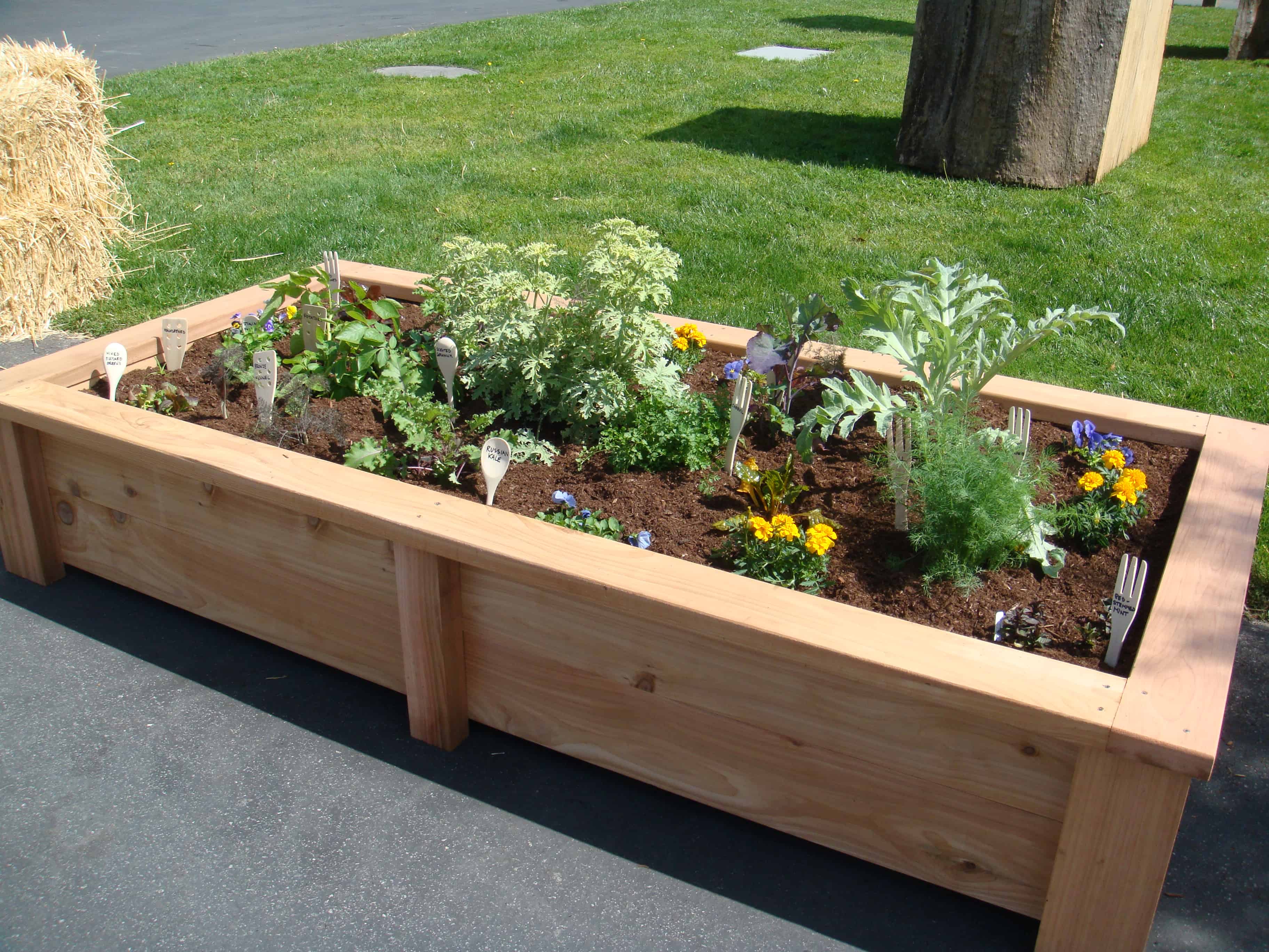 Backyard Raised Bed Garden Ideas