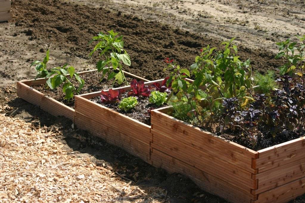 Cedar Complete Raised Garden Bed Kit X X Eartheasycom