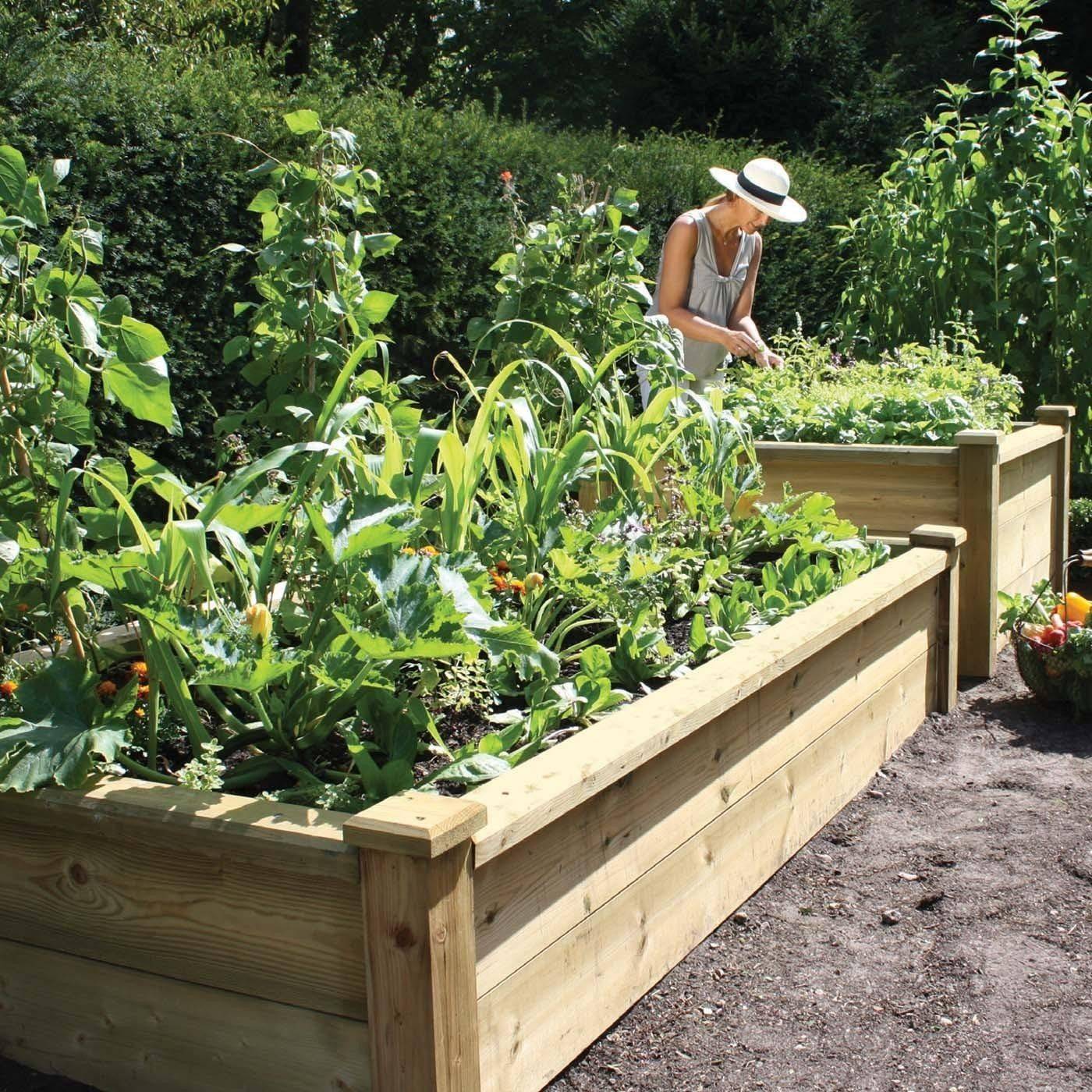 Cedar Raised Bed Garden Kits