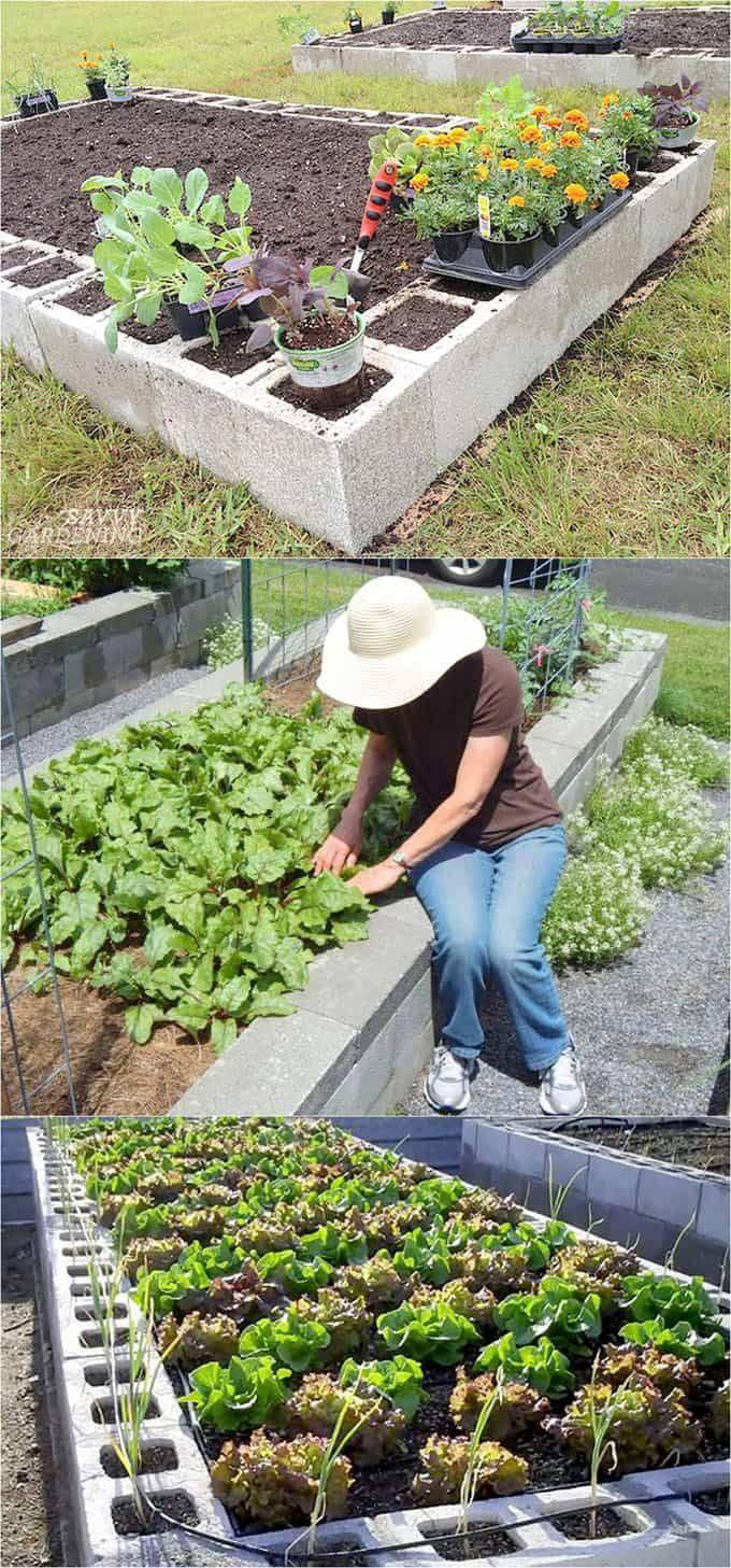 A Raised Garden Bed