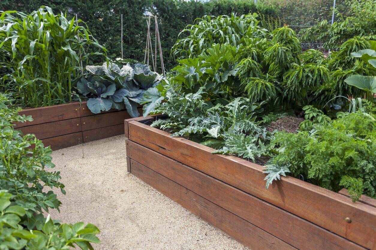 Raised Garden Beds