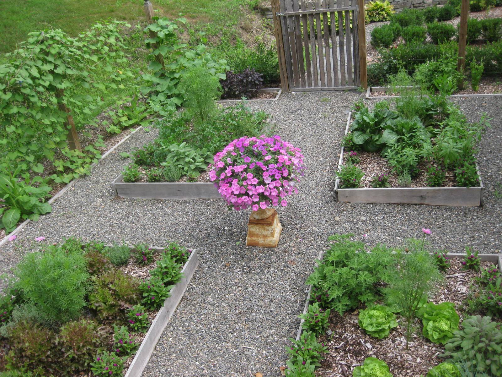 The Vegetable Garden