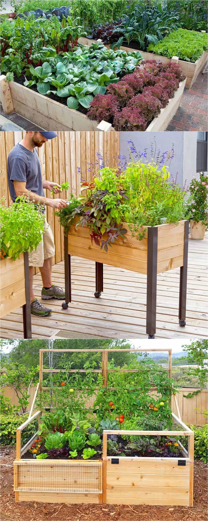 Pin On Backyard Vegetable Gardens