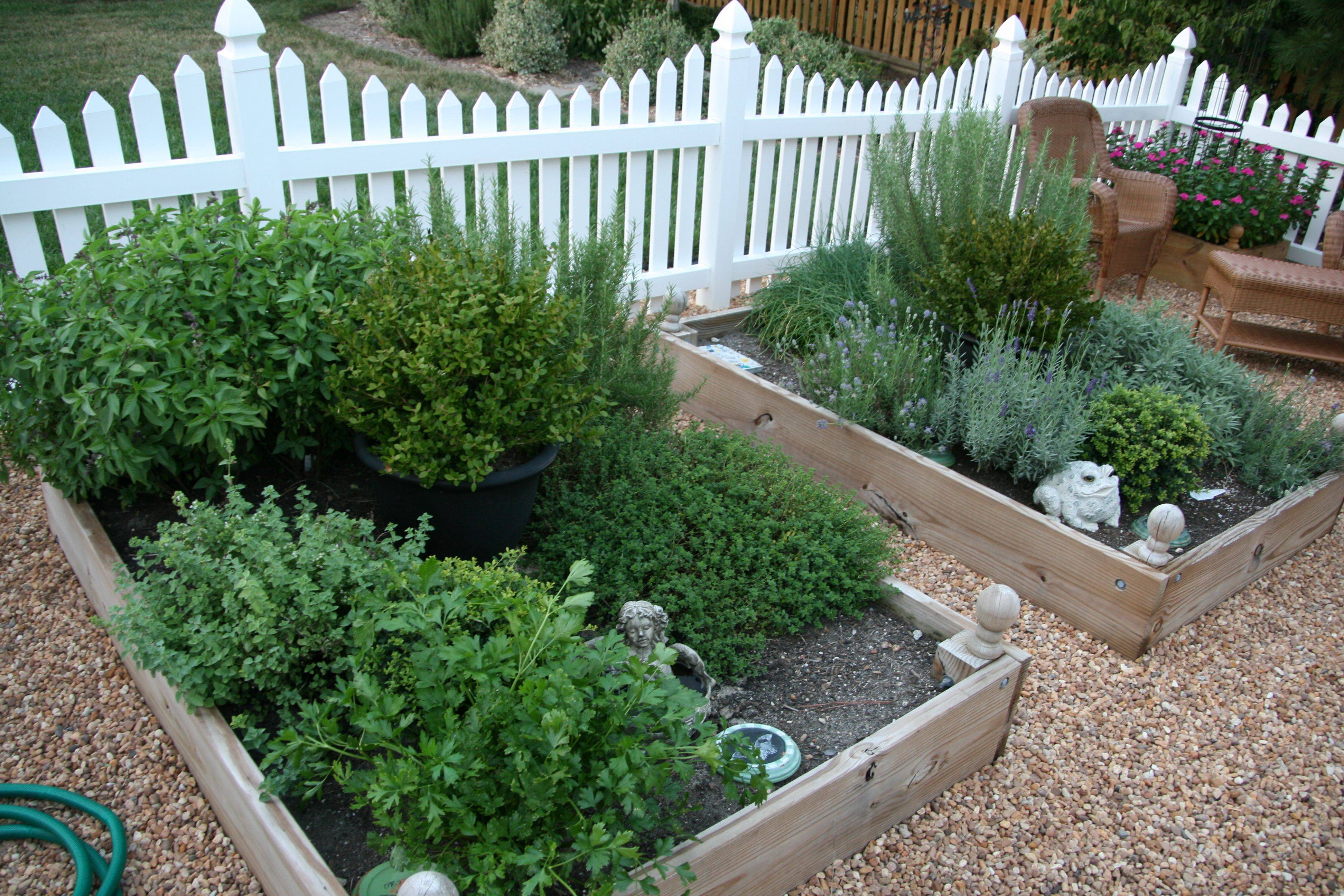 Creative Herb Garden Ideas
