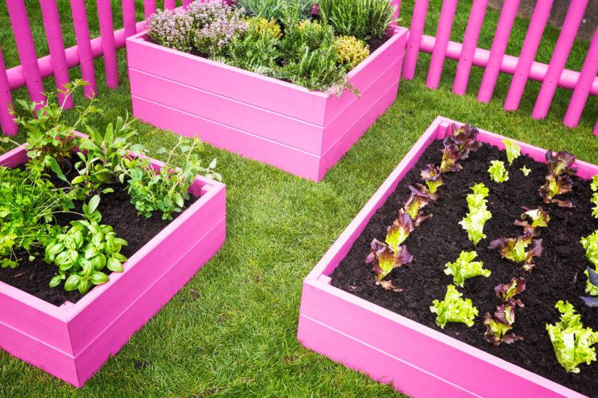 Backyard Raised Bed Garden Ideas