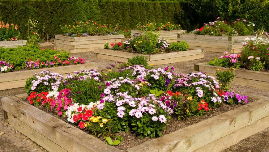 Inspiring Diy Raised Garden Bedsideas