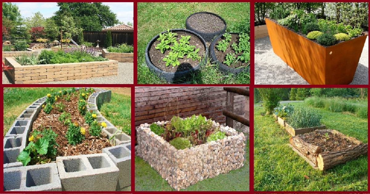 Inexpensive Raised Garden Bed Ideas