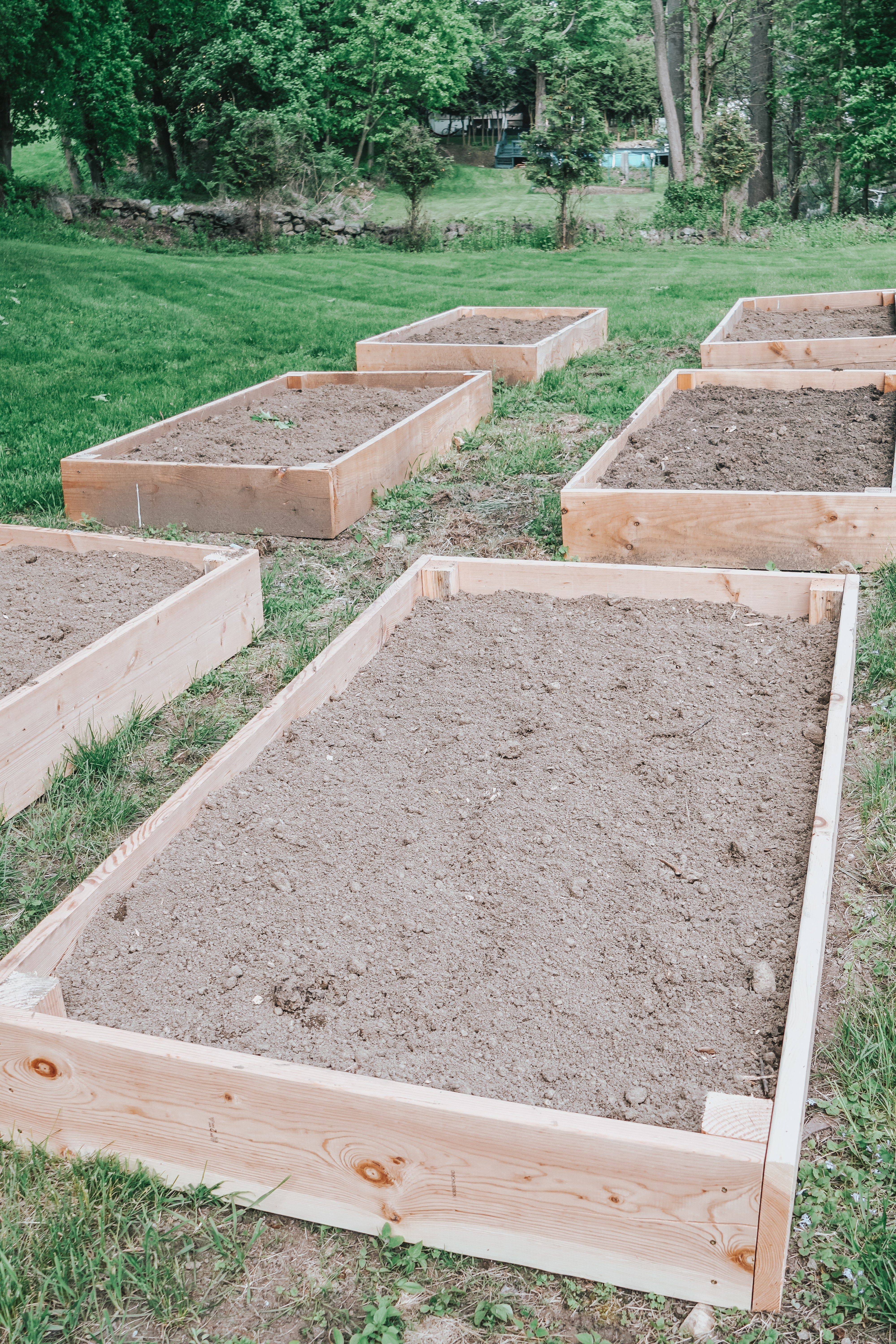 Diy Raised Garden Beds Ideas