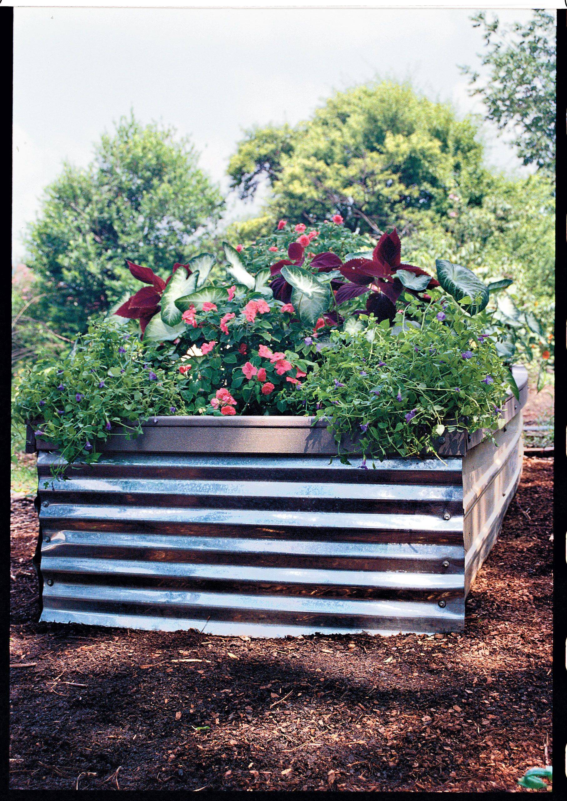 Diy Raised Garden Beds Christine Covino