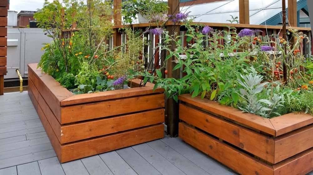 Creative And Inspiring Raised Bed Vegetable Garden Ideas