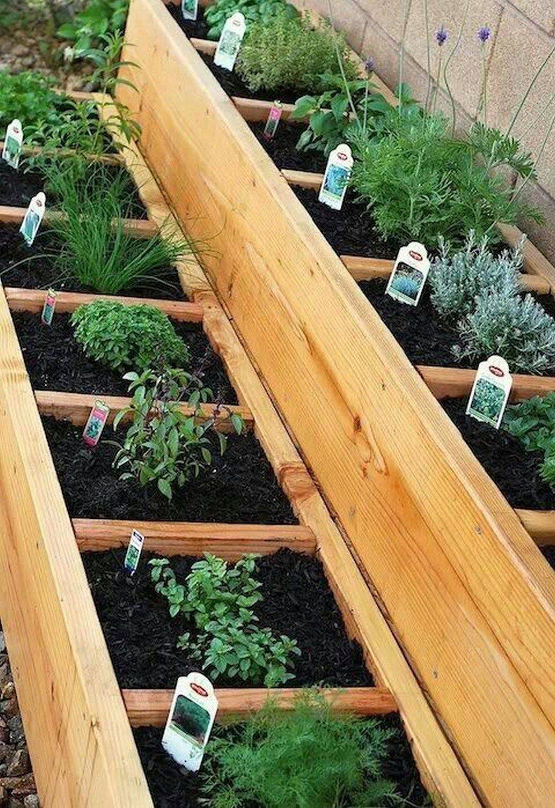 A Beautiful Raised Bed Vegetable Garden