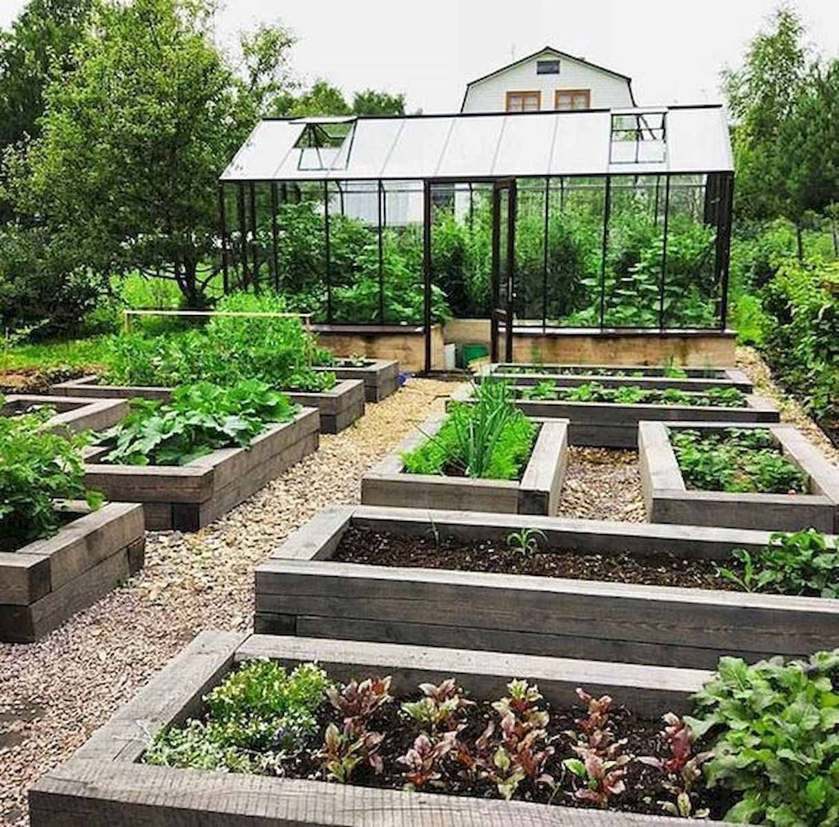 A Beautiful Raised Bed Vegetable Garden