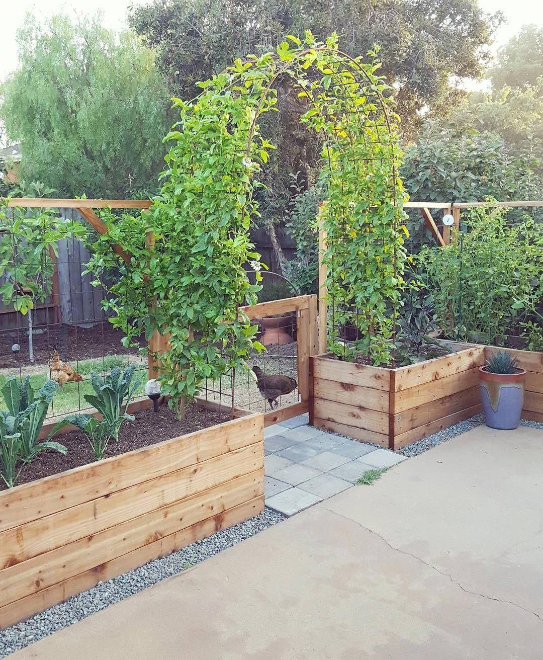 Delightful Raised Garden Beds