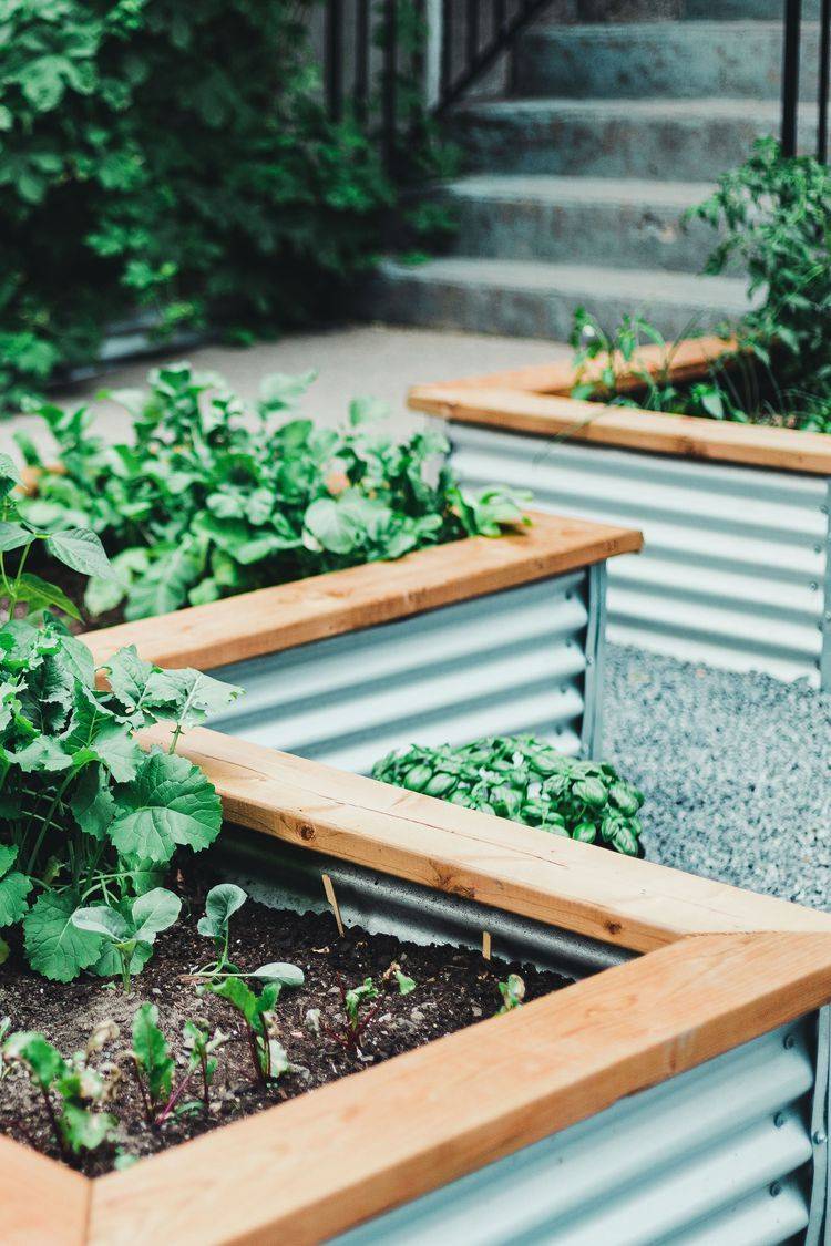 Beautiful Ladder Garden