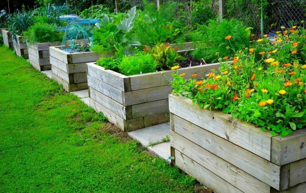Gorgeous Flower Bed Ideas