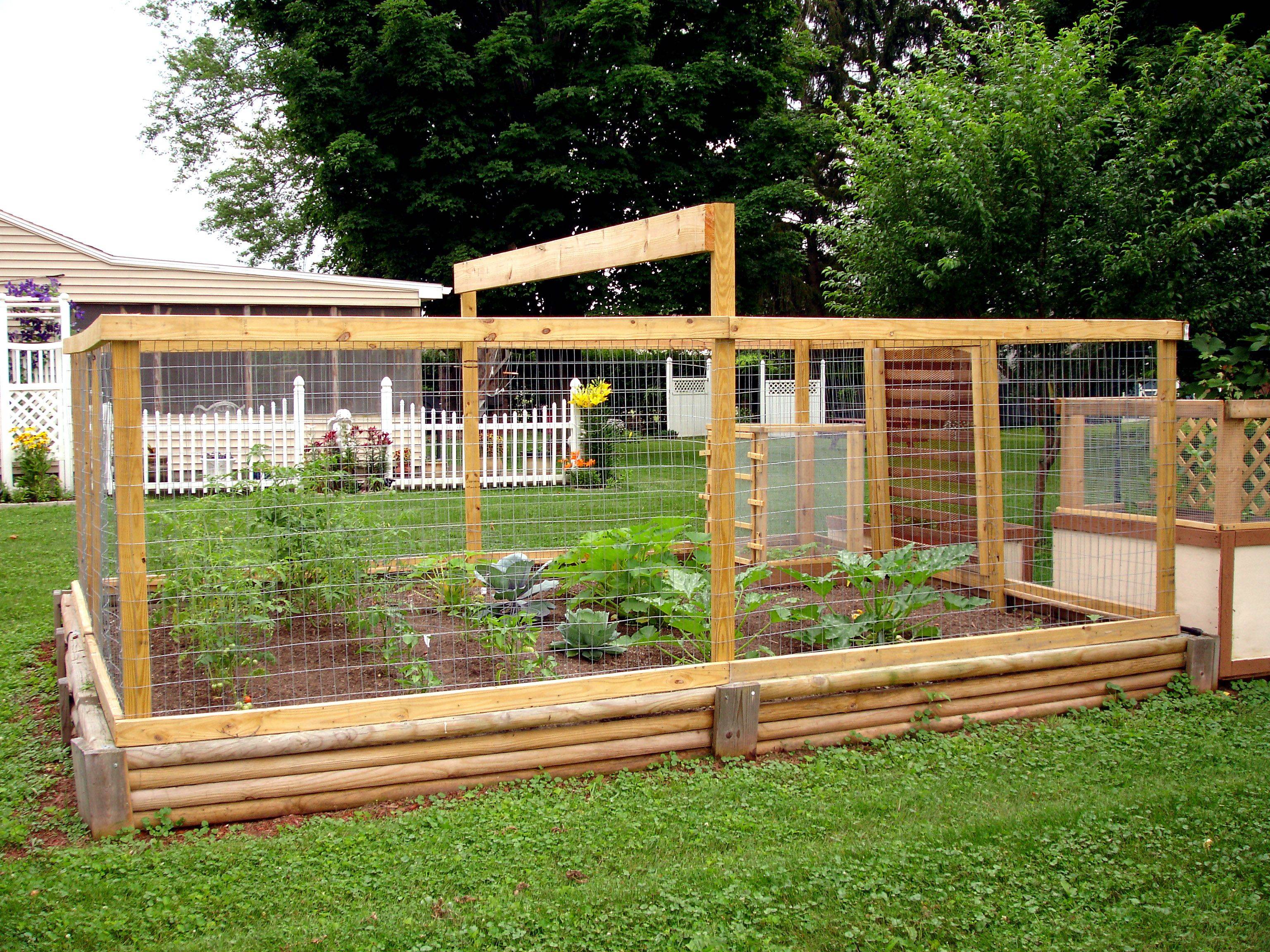 22 Raised Garden Bed with Deer Fence Ideas You Should Check | SharonSable