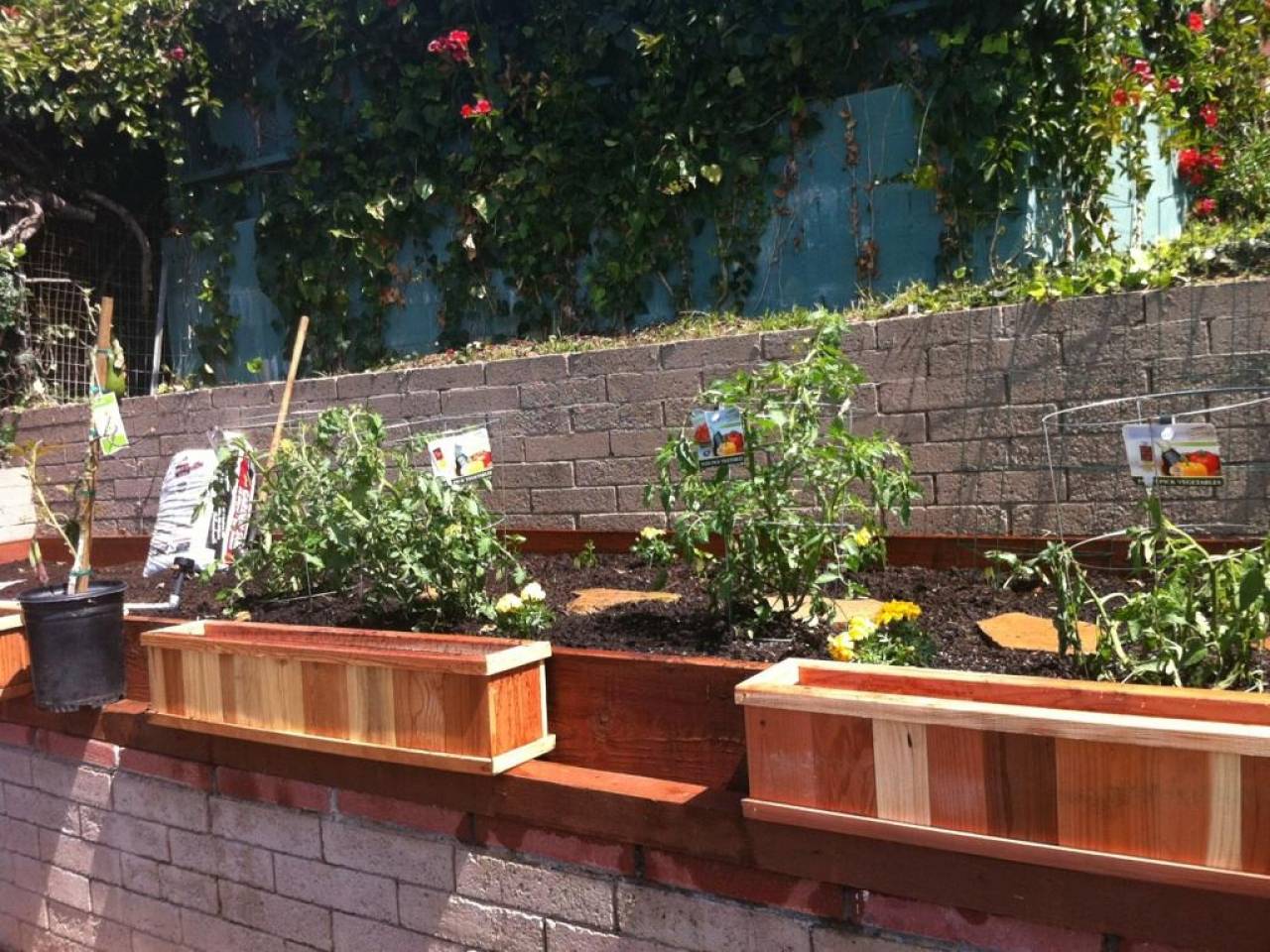 21 Raised Bed Garden Layouts Ideas You Gonna Love SharonSable