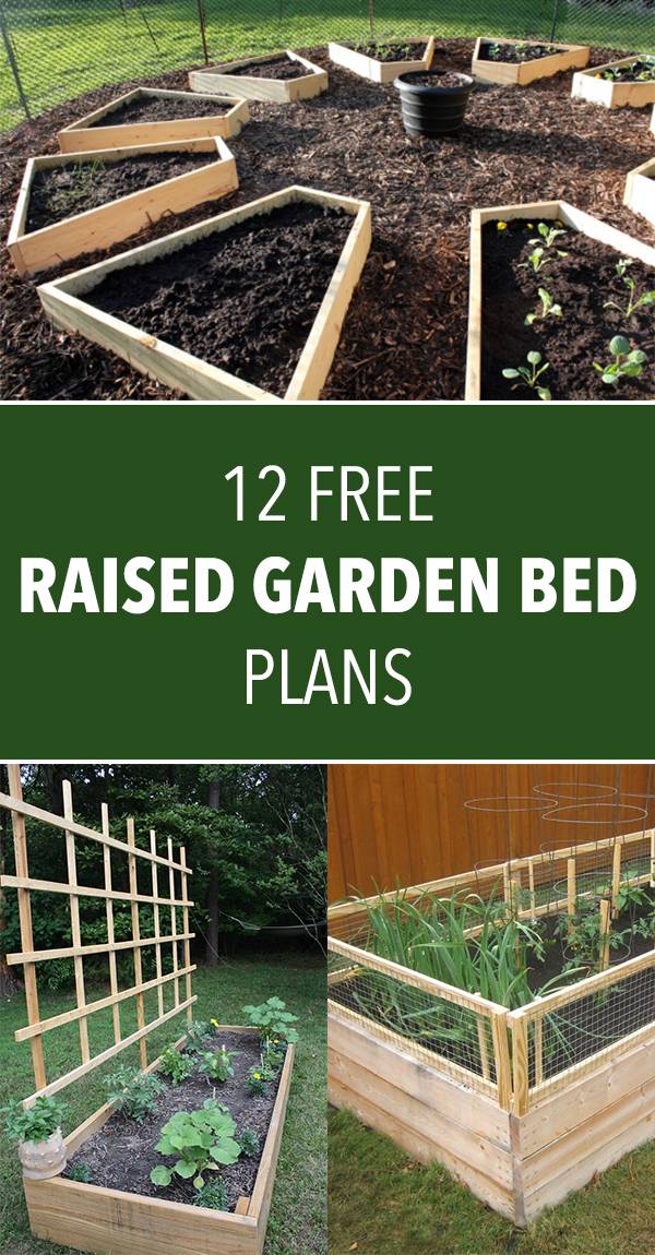 Simple Raised Vegetables Garden Bed Ideas