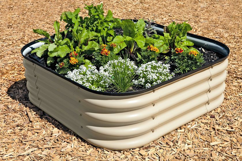 Elevated Raised Garden Beds
