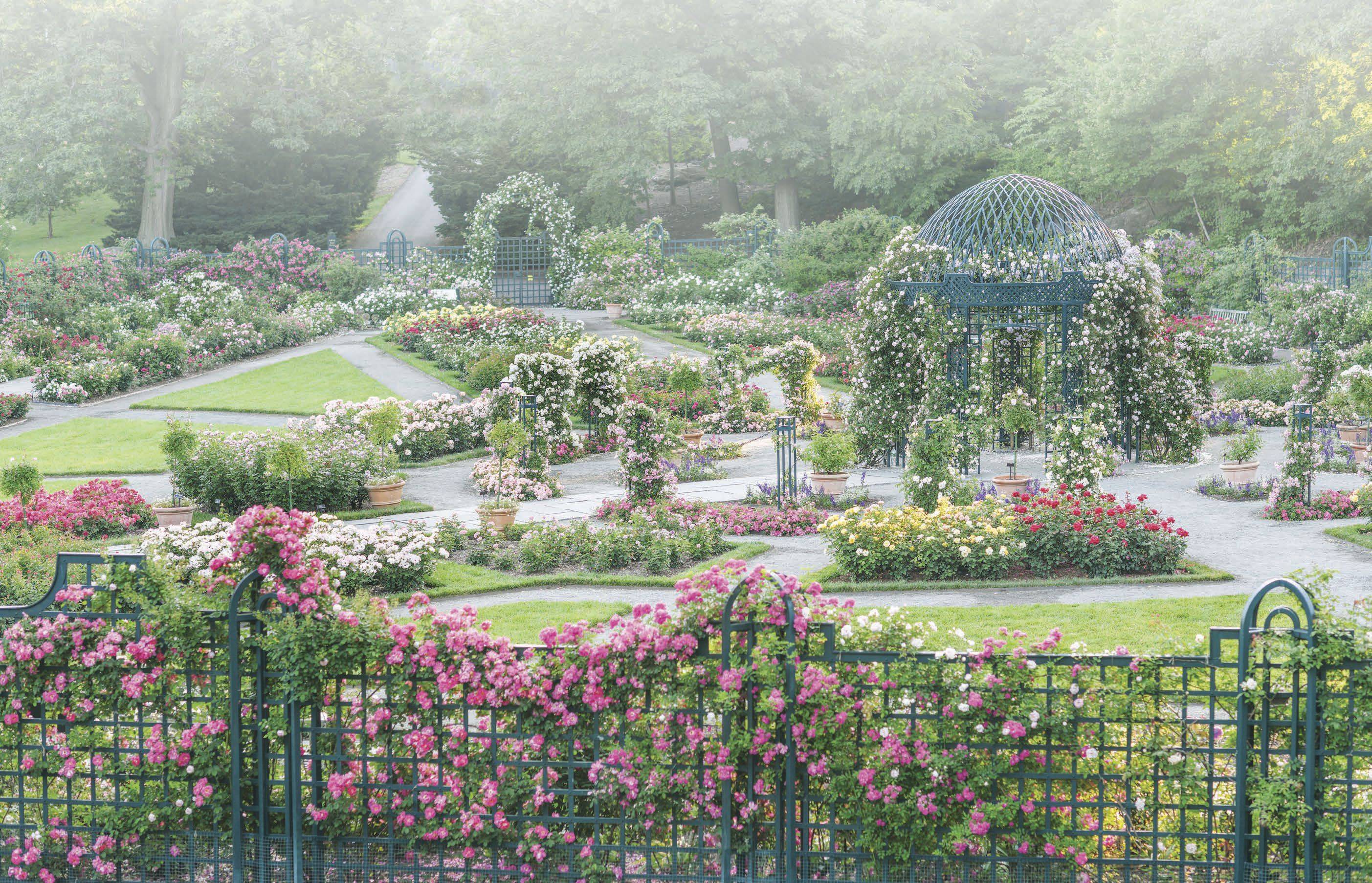 The Peggy Rockefeller Rose Garden