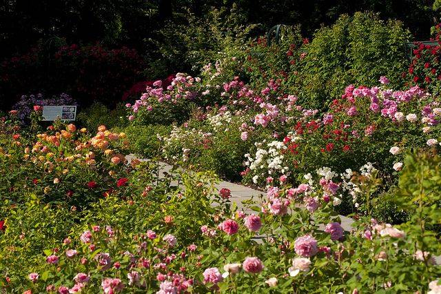 Botanical Gardens