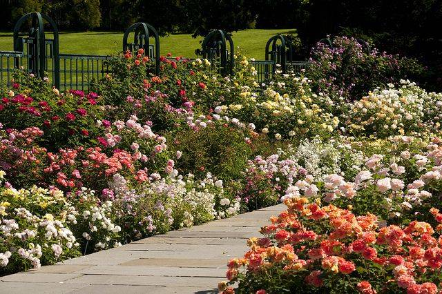 Botanical Gardens
