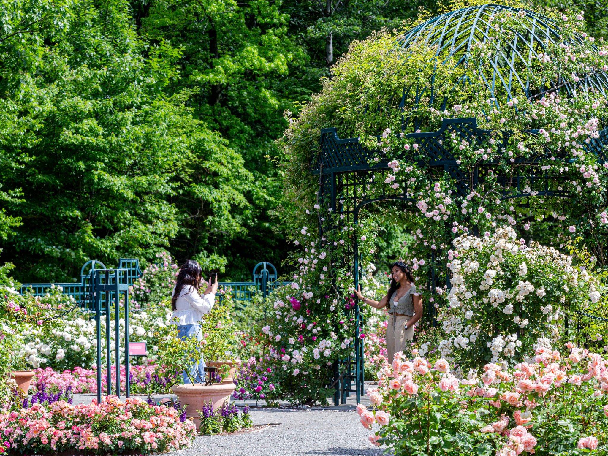New York Botanical Garden