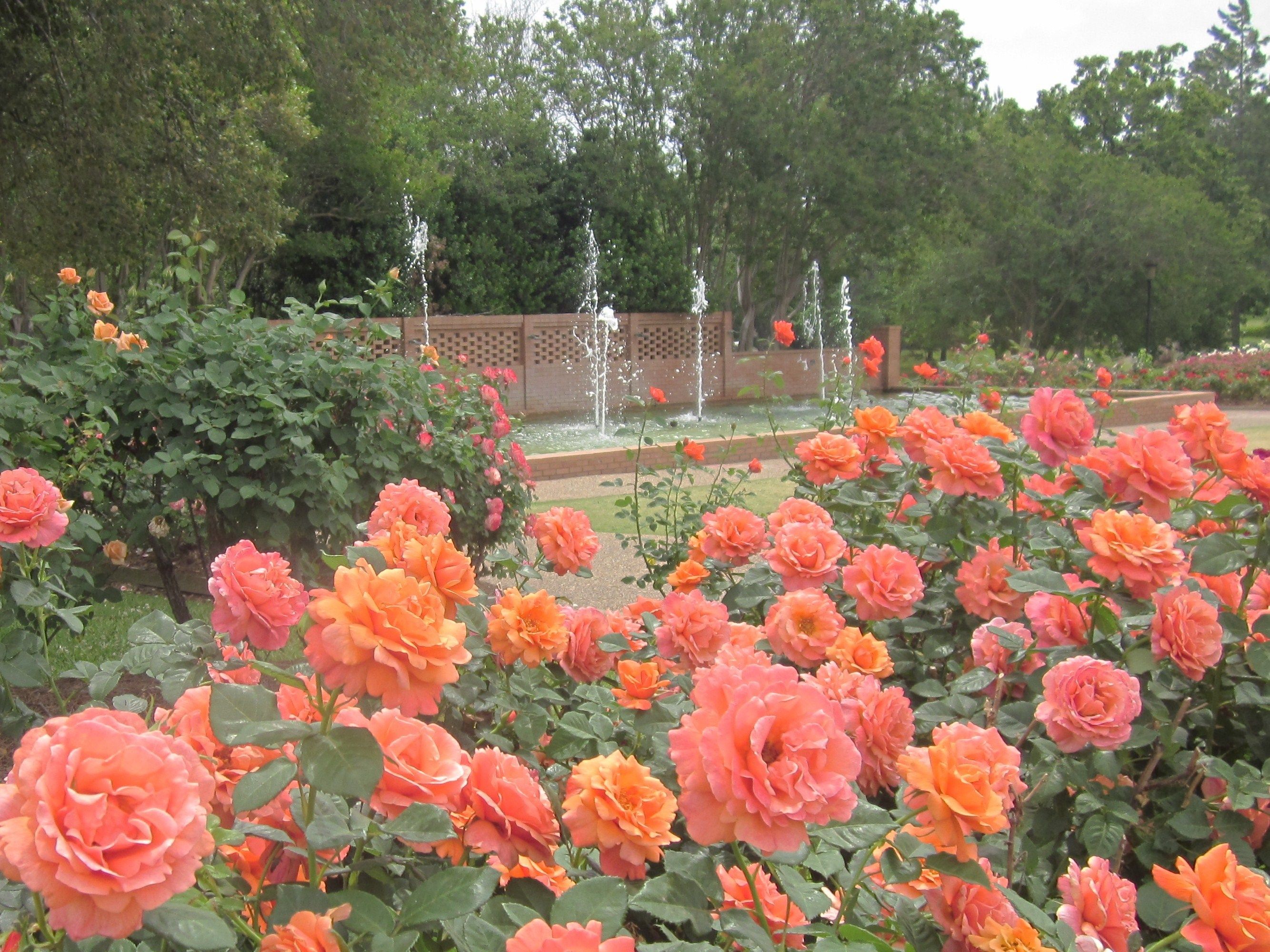 Charlotte Moss Garden Design Ideas Flower Garden Ideas