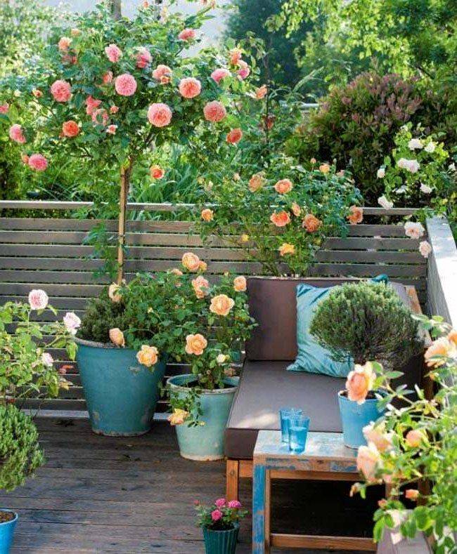 Gorgeous Rose Garden Ideas Photo Inspiration Garden Tabs