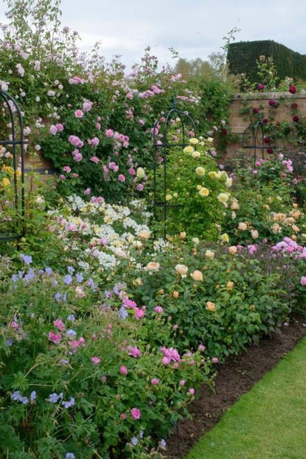 22 Rose Garden Inspirations Ideas You Cannot Miss | SharonSable