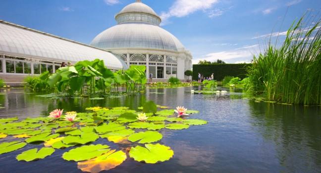 The New York Botanical Garden